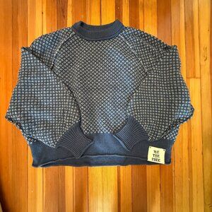 Free People Navy and White Sweater